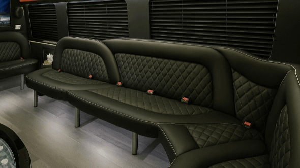 delaware 14 passenger sprinter limousine rental